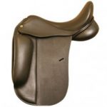 Dressage Cardanel Concept