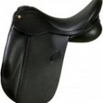 Dressage Ideal Suzanah