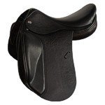 Dressage Jaguar xkc close contact
