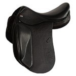 Dressage Jaguar xkc close contact